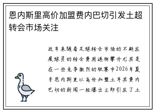恩内斯里高价加盟费内巴切引发土超转会市场关注 恩内斯里高价加盟费内巴切引发土超转会市场关注